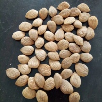 串红