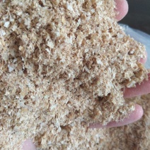 麸皮麦麸食用菌用大量供应山东麸皮