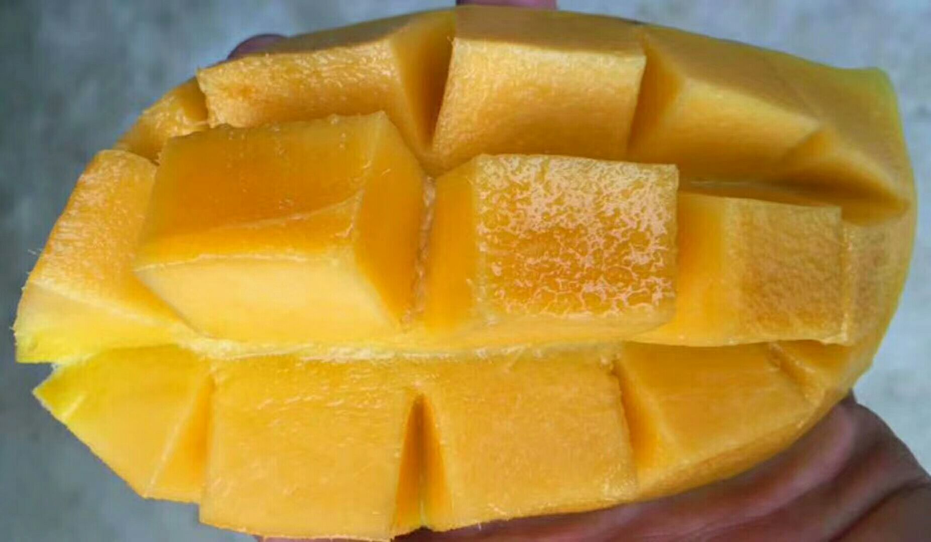 鹰嘴芒果制作沙拉与果汁示意图