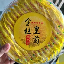 金丝黄菊