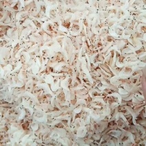 虾皮