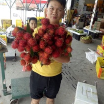 红毛丹