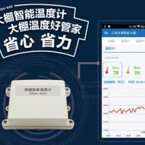 霖鹏网络智能温度计