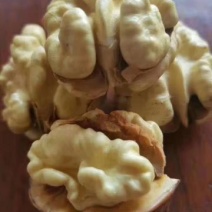 大优核桃大量批发