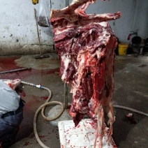 驴肉