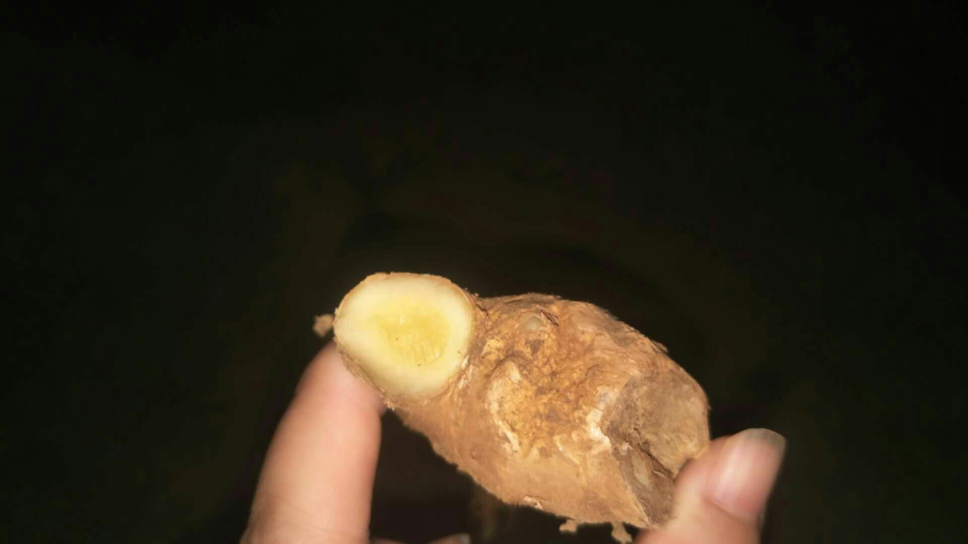 老姜内部切面特写