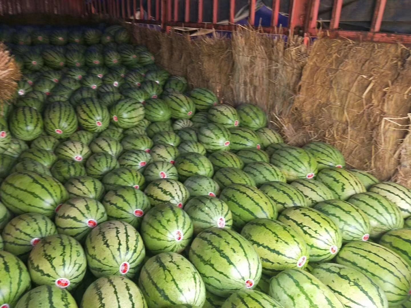 金花西瓜与其他水果搭配图