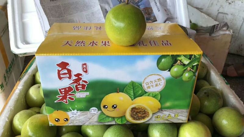 黄金百香果果苗多少钱一棵