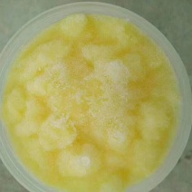 蜂王浆（自产自销数量有限）