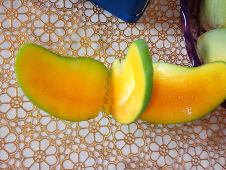 切开展示台农芒果肉结构