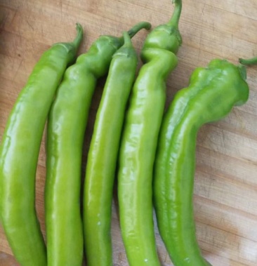 牛角椒 15~20厘米 中辣 青