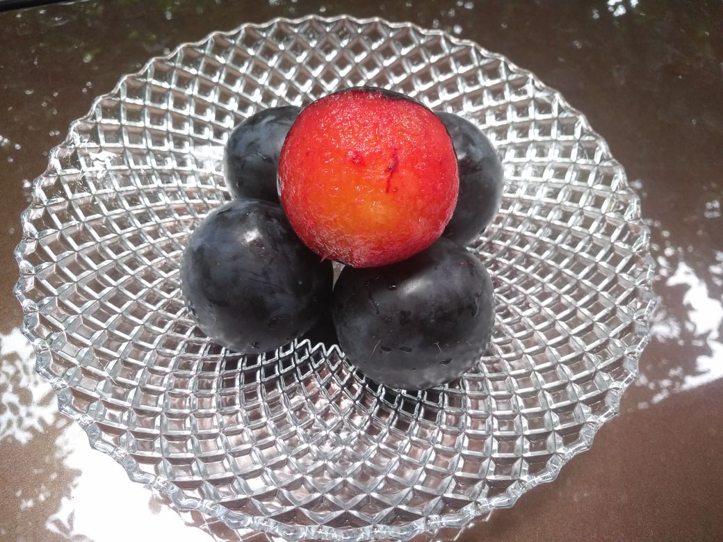 摆盘精美的黑布林李子果盘,旁边配有酸奶、坚果和蜂蜜 黑布林果盘展示