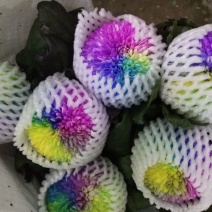 乒乓球菊花