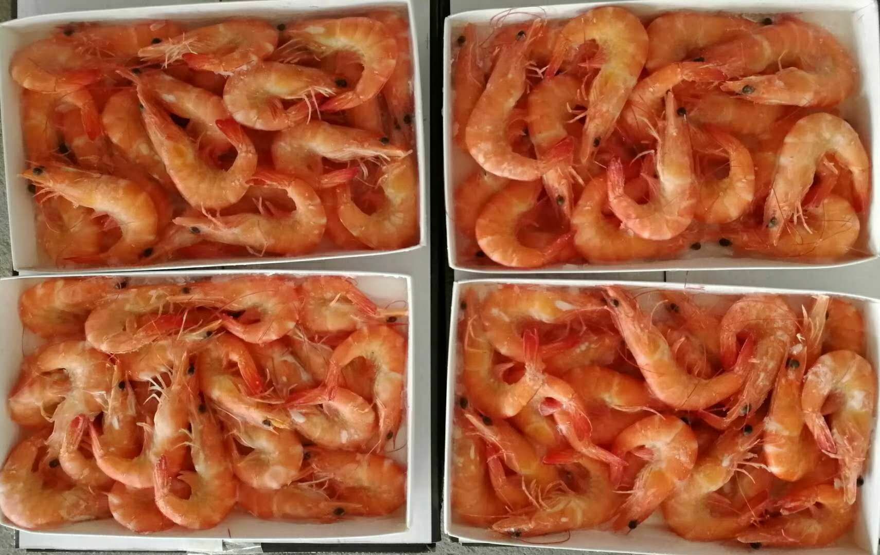 成品虾仁青豌豆装盘展示