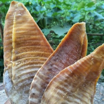 水煮笋干，基地直供，零添加