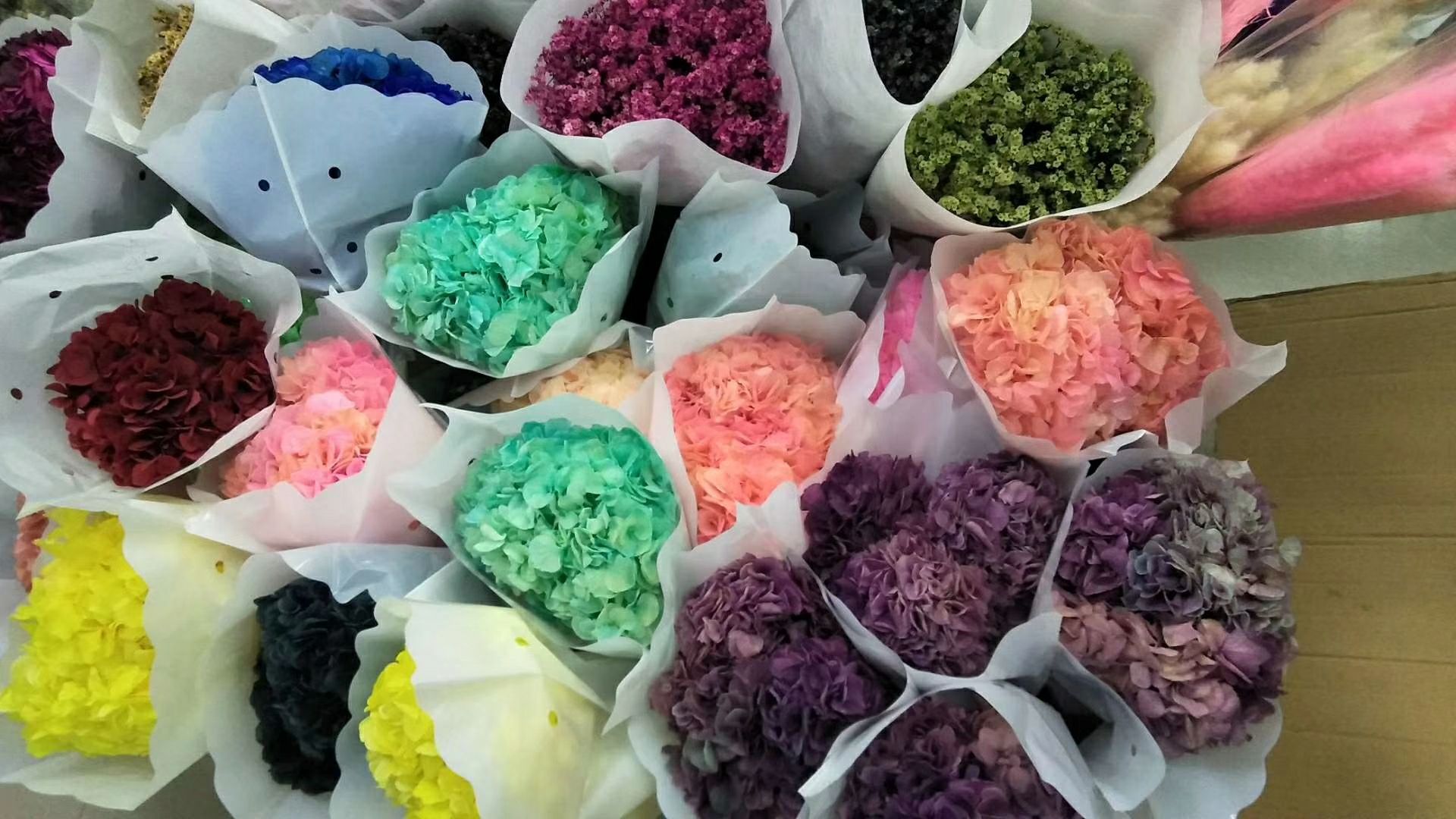 展示一组以七彩雏菊为主的定制花束,用于婚礼或节日赠送,体现其商业应用价值 七彩雏菊花束定制图