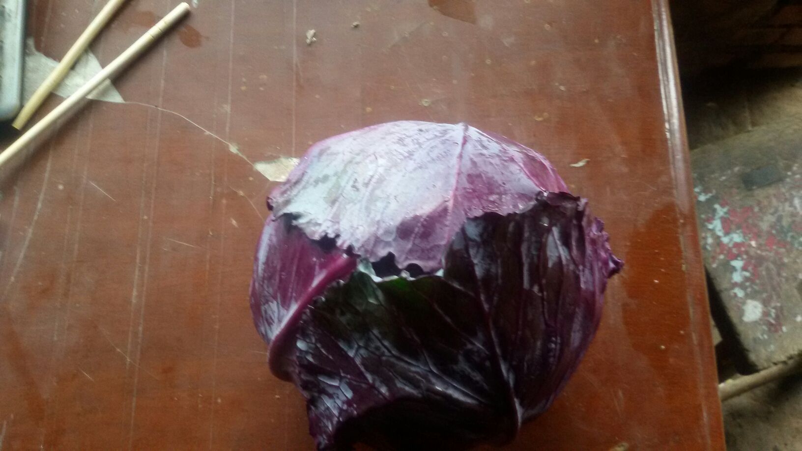 紫甘蓝特写镜头