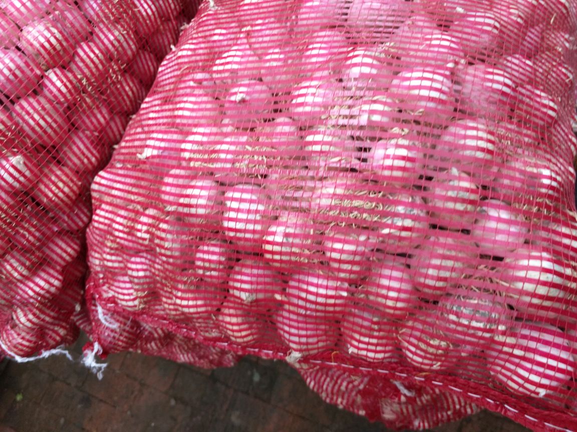 大理紫皮独头蒜自动化分拣包装车间 现代化农产品加工车间内景,工人正在操作全自动分拣机对紫皮独头蒜进行大小分级,传送带旁堆放着印有“大理高原特产”的礼盒包装