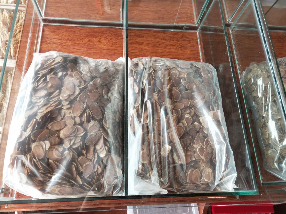 红参正确储存方式示意图