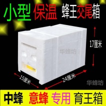 蜂箱小型蜂王交未箱育王箱包邮