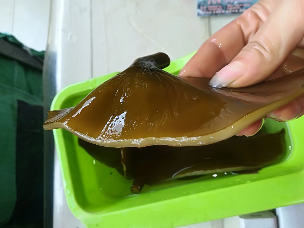 左侧为干燥状态下的卷曲黑色海带条,表面有白色结晶;右侧为浸泡4小时后的膨胀状态,颜色转为深绿褐色,体积扩大约4倍,质地柔软。容器中标注‘Before’与‘After’字样,背景为厨房环境 干海带复水前后对比图