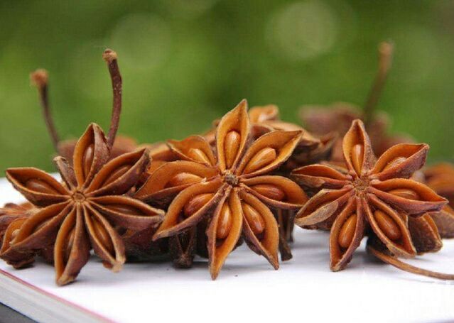 加五味子特写与料理场景,展示其自然形态与用于烹饪的准备过程 加五味子特写与料理场景