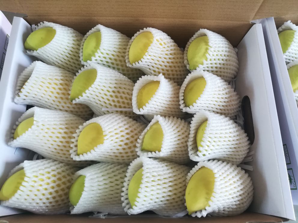 展示鹰嘴芒果在运输中使用的防震包装和保鲜技术 鹰嘴芒果运输包装示意图