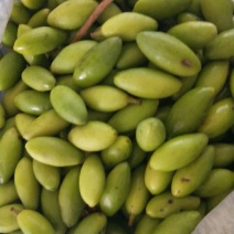 橄榄