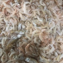 虾皮一级