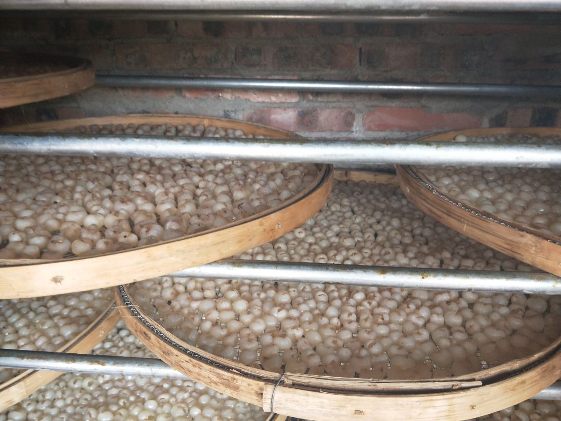 龙眼加工与保存方法展示