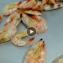 干虾
