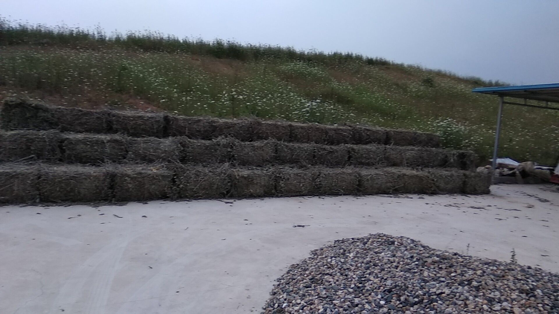 艾叶葱姜混合捣碎过程示意图