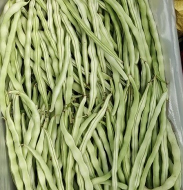 [白豆批发]白豆王价格1.80元/斤 - 一亩田