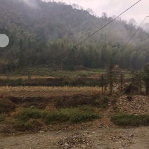 1500林地出租