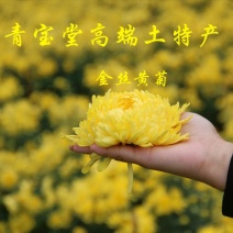 金丝皇菊茶