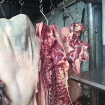 驴肉
