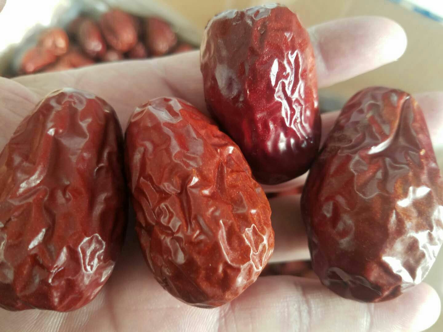 一颗饱满的新疆灰枣特写镜头,表面覆盖着细腻的灰白色粉末状物质,背景为戈壁滩果园环境,阳光充足,突出自然晾晒场景 灰枣特写展示表面灰白色物质