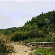 500亩山地出租
