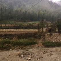 2000亩山地出租