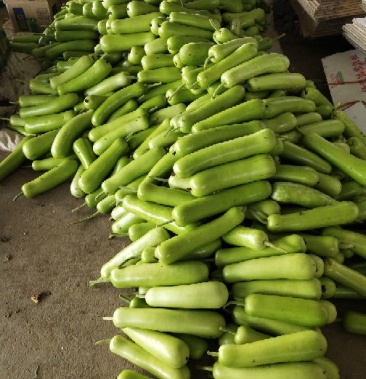 户子刚上市货好