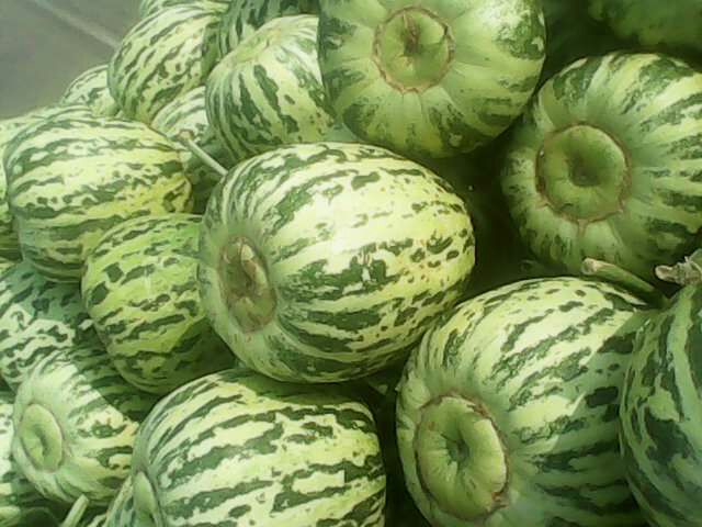 甜瓜营养成分对比图表