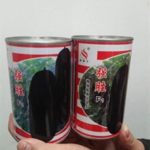 黑皮特大冬瓜种子-大冬瓜种子