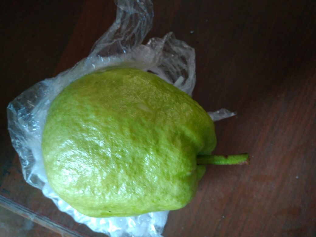 图像展示一个透明纸袋内装有一颗青绿色生番石榴和一根香蕉,袋子半折叠封口,放置在木质桌面上,背景有温度计显示22℃,旁边标注文字‘催熟建议:20–25℃,2–5天’ 家庭常见番石榴催熟方法示意图