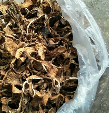 [喇叭菌批发]喇叭菌价格15.00元/斤 - 一亩田