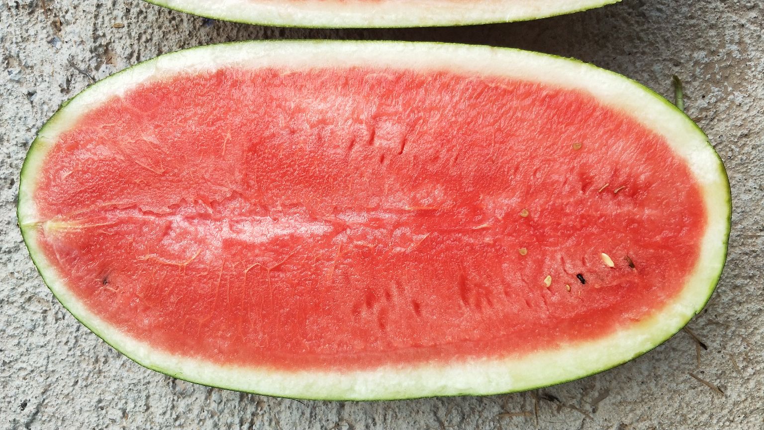 不熟黑美人西瓜切面图
