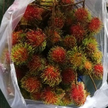 红毛丹，30斤/件，
