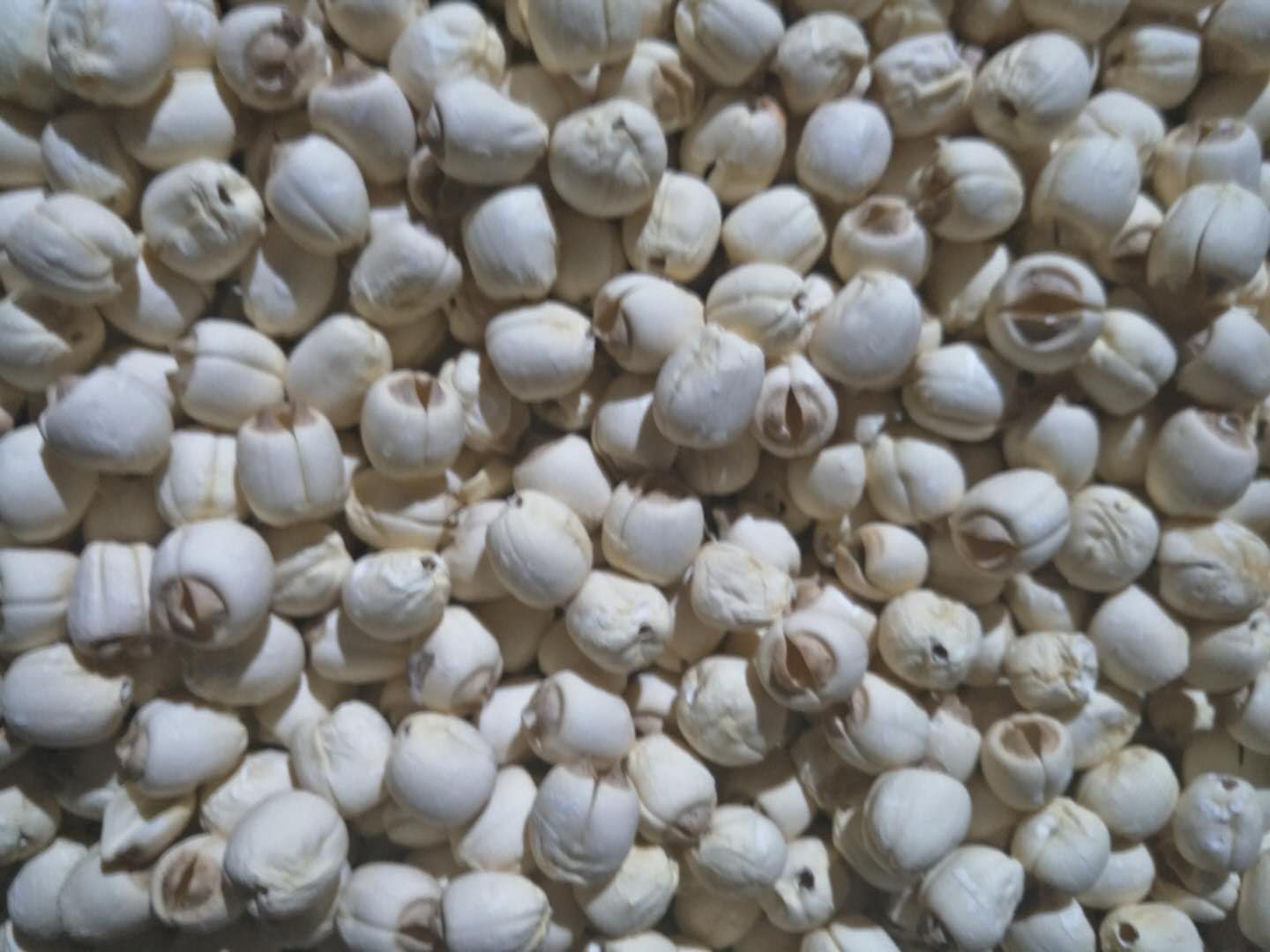 展示莲子营养成分的图表,包括蛋白质、碳水化合物、维生素等比例 莲子营养成分展示