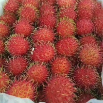 越南红毛丹