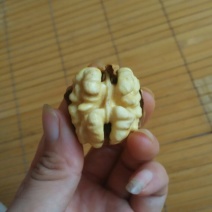青皮核桃