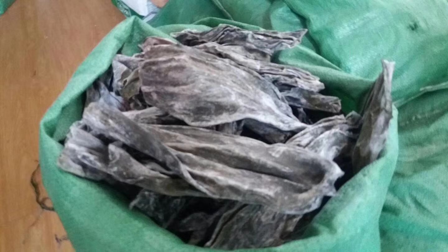 干海带与豆腐炖汤场景图,展现健康饮食氛围 干海带烹饪示意图